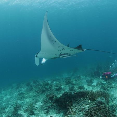 Coriana Dive Resort Waisai Exteriör bild